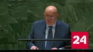 Выступление представителя России на Генеральной ассамблее ООН - Россия 24 