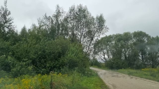 Кремлевские Колдуны и закрытие Красной Площади 24.08. смотреть онлайн