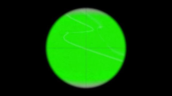 CS:GO AWP Green Screen overlay + Sound Effect [High Quality]