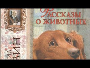 Рассказы о животных. Михаил Пришвин.