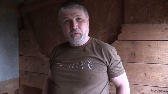 Продаются щенки западносибирской лайки! смотреть онлайн