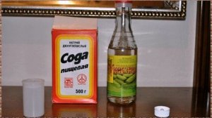 Чего боятся тараканы в квартире больше всего – все лучшие народные методы