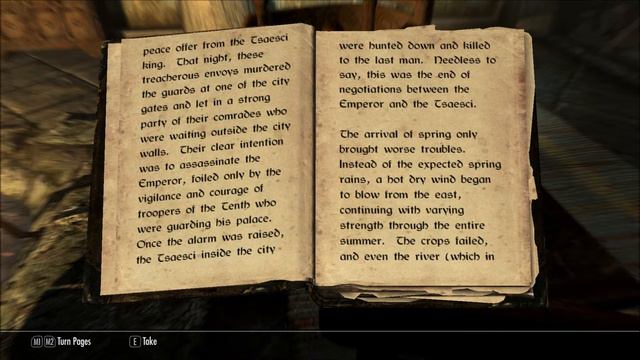 Let's Read Report: Disaster At Ionith (Let's Read The Books Of Skyrim, Book 13)