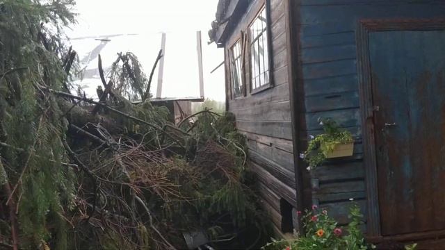 Кологрив ураган 22.08.19 смотреть онлайн