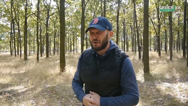 Анекдот про сватовство №102 Анекдоты от Новицкого - Как сватать невесту смотреть онлайн