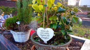 #27 Как выглядит католическое кладбище в Германии.