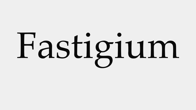 How to Pronounce Fastigium смотреть онлайн