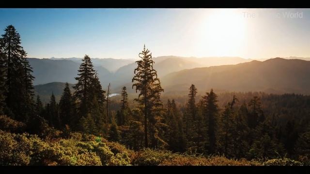 Tapping Into The Akashic (Space) Intelligence | Simple Process 3 Times A Day | Sadhguru смотреть онлайн