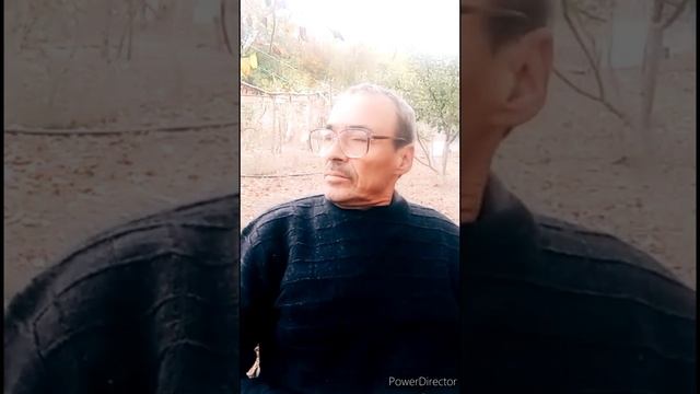 "Кухонные диалоги": запись стрима номер - 1. смотреть онлайн