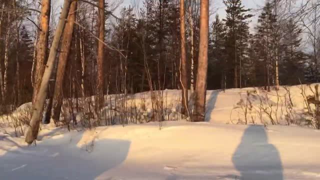 Зимняя рыбалка на оз. Медвежье. смотреть онлайн