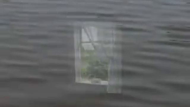 Одинокая ветка сирени. Братья Никулины. смотреть онлайн