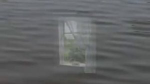 Одинокая ветка сирени. Братья Никулины.