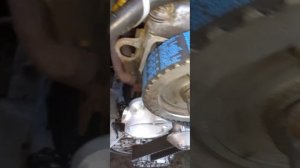 Установка ремня ГРМ и помпы на ГАЗ-560/Штайер/.