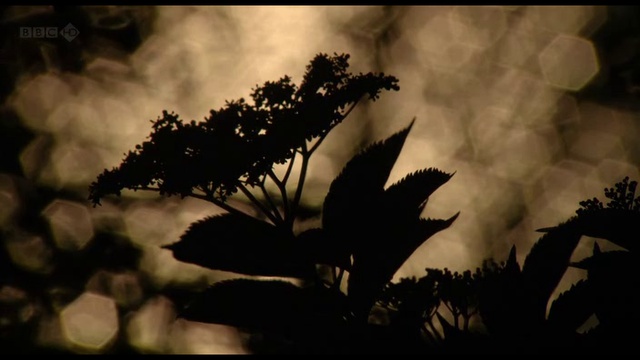 Zhenschiny.u.vlasti.(1.iz.3)1 смотреть онлайн