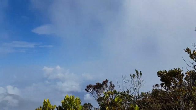 Cerró de San nicolas (farallones) ciudad bolivar смотреть онлайн
