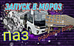 Как запустить двигатель в мороз на ПАЗ Вектор Некст Рождение дочери -влог.