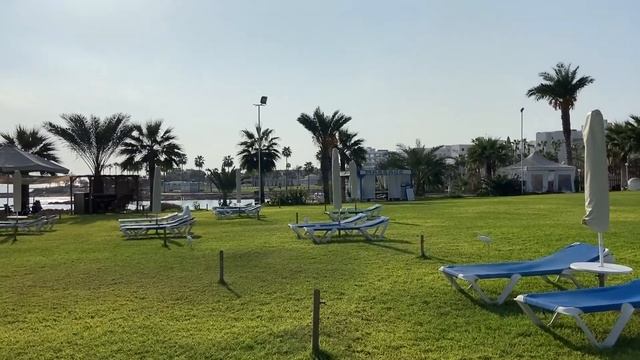 Белые Цапли на Кипре в конце октября 2020 смотреть онлайн