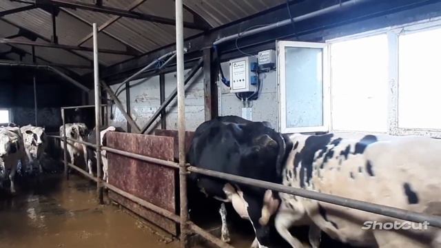 Тепелево, Hoofcount смотреть онлайн