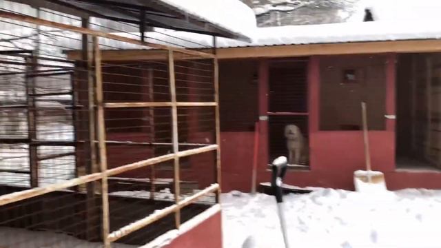 В гостях у МКЦ ч.1 смотреть онлайн