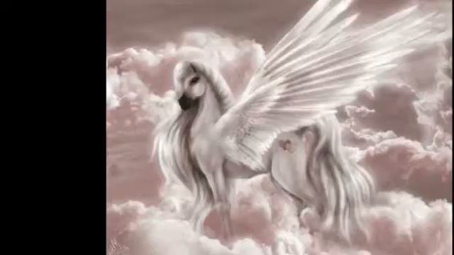 Пегасы! (Ч.О)