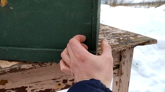 УЛЕЙ ИЗ ПЕНОПОЛИСТИРОЛА смотреть онлайн