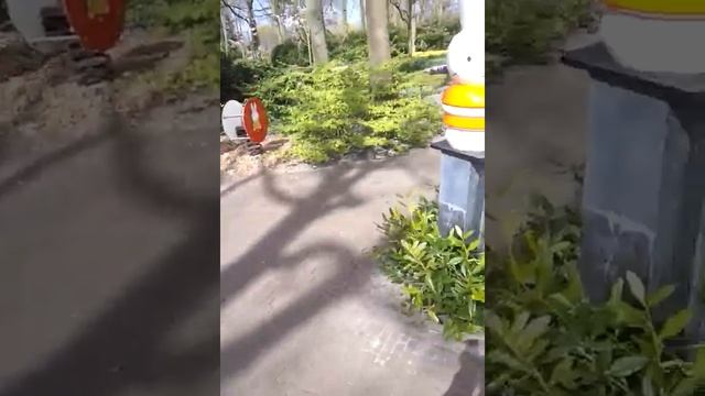 Spring in Keukenhof park. Весна в Кёкенхоф смотреть онлайн