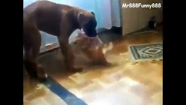 Коты Против Собак смотреть онлайн