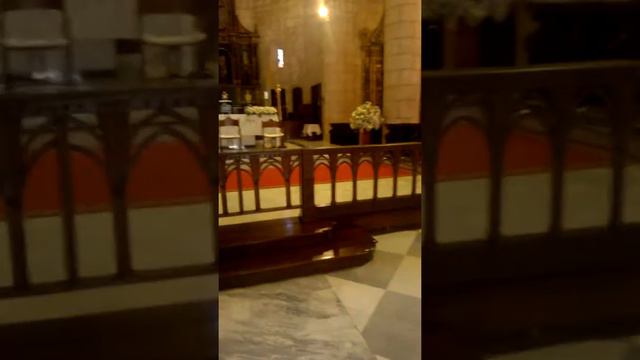 собор Santa Maria la Menor , Санто Доминго, Доминиканская республика смотреть онлайн