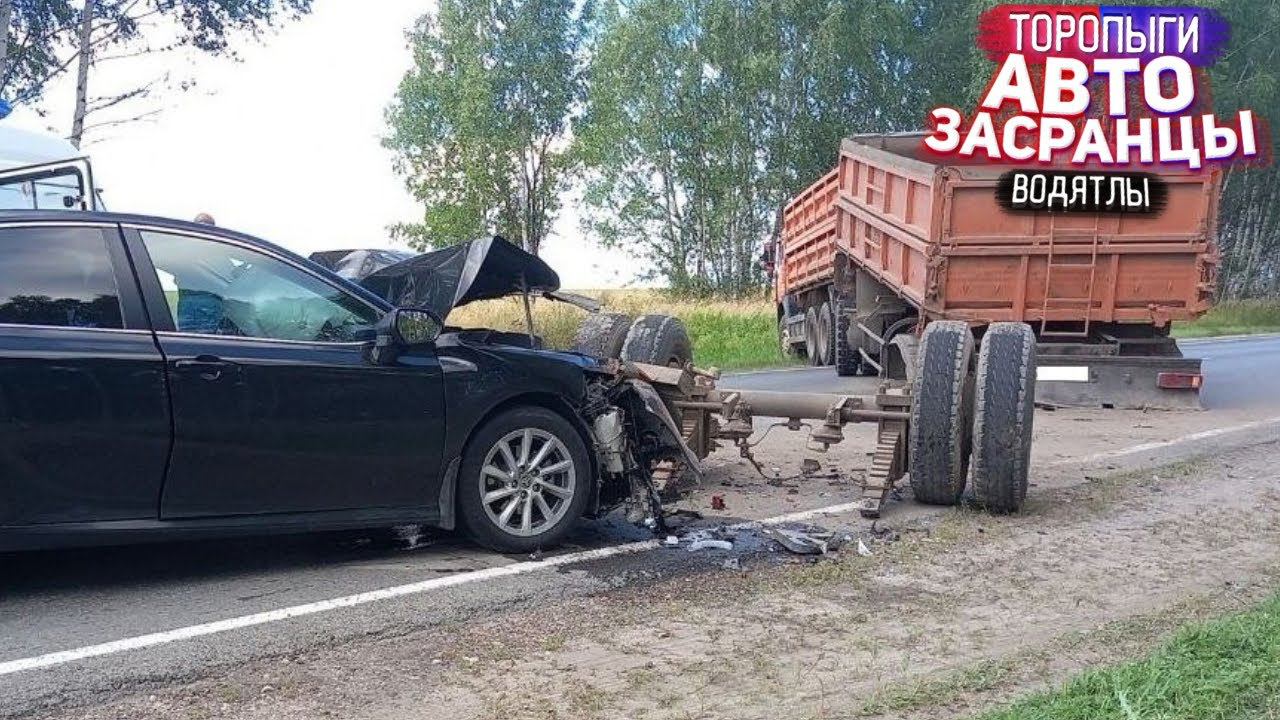 Астанавитесь!!! Торопыги и Водятлы смотреть онлайн