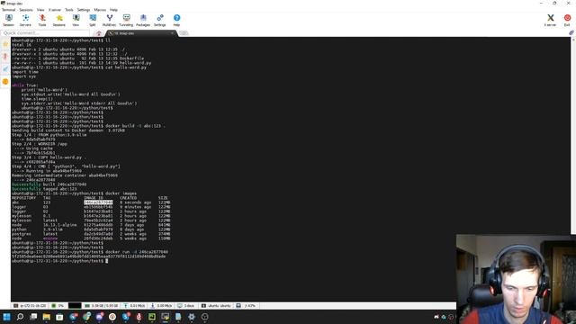 Докеризация приложения. Python + docker logs. смотреть онлайн