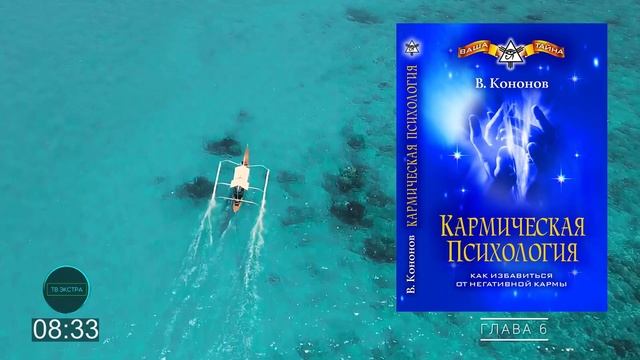 Прошлые жизни и понятие реинкарнации Кармическая психология | Владимир КОНОНОВ (глава 6) смотреть онлайн