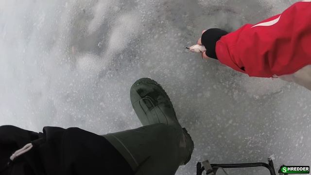 Поклевка за Поклевкой! Раздача на Опасном Льду. Плотва на Снасть Гирлянда 2021 смотреть онлайн