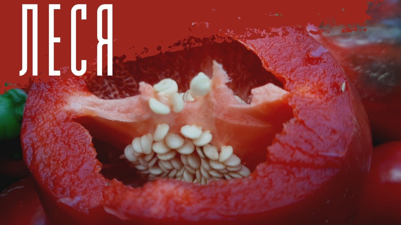 Сладкий перец Леся. смотреть онлайн