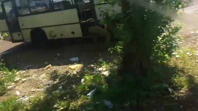 свиньи - 91 маршрут 2 смотреть онлайн