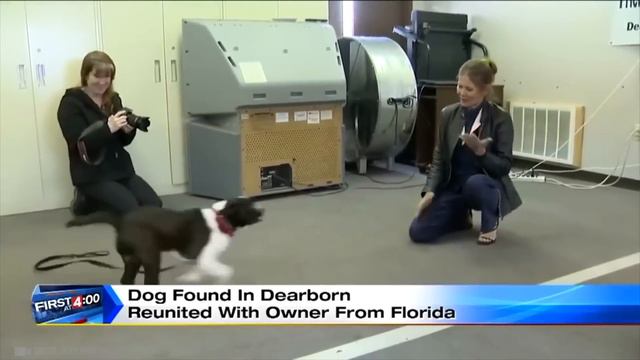 Спустя ГОДЫ Животные Встретились Со Своими Хозяевами! Попробуй НЕ ЗАПЛАКАТЬ!(1) смотреть онлайн