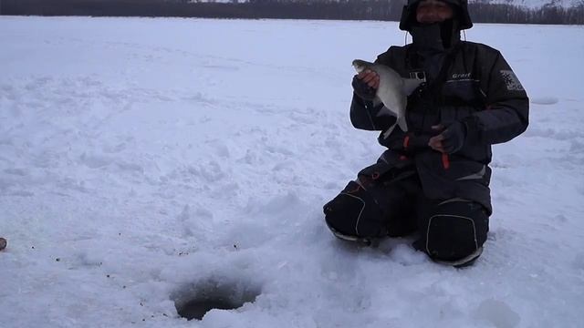 Здоровый?? НУ КОНЕЧНО! Я ему уже башку оторвал!!! ЛОВЛЯ ЛЕЩА ЗИМОЙ на комбайны(спускники) смотреть онлайн
