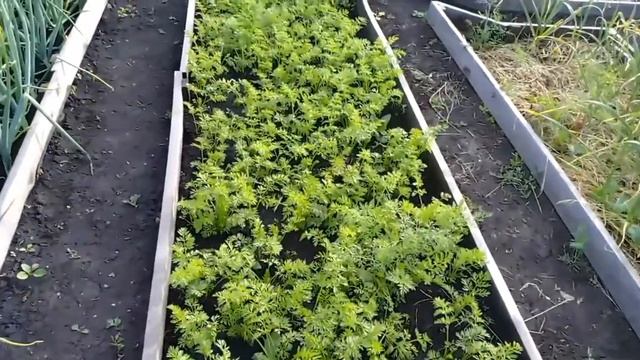 Дача Еловый ручей смотреть онлайн