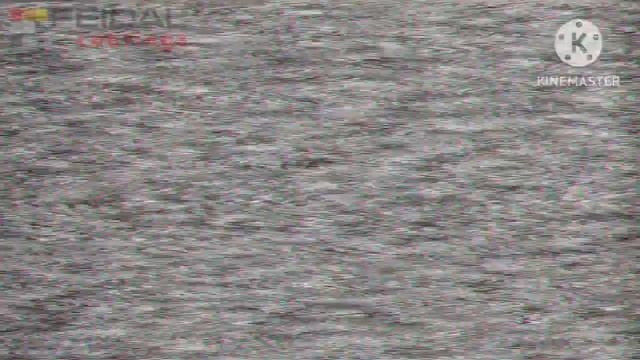 Как правильно добавить оттенка рельефному трафаретному рисунку на стене! смотреть онлайн