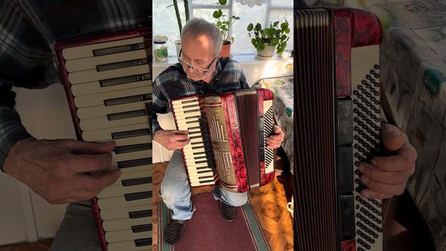 Accordion Contasina, 120 Bass, 4 Voice, Professional Accordion, 11+3 Register, Made In Germany, SAL