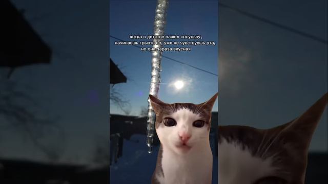 жиза #мем #сосулька #вкусная #уженечувствуешьрта #cringett #кот #котята смотреть онлайн