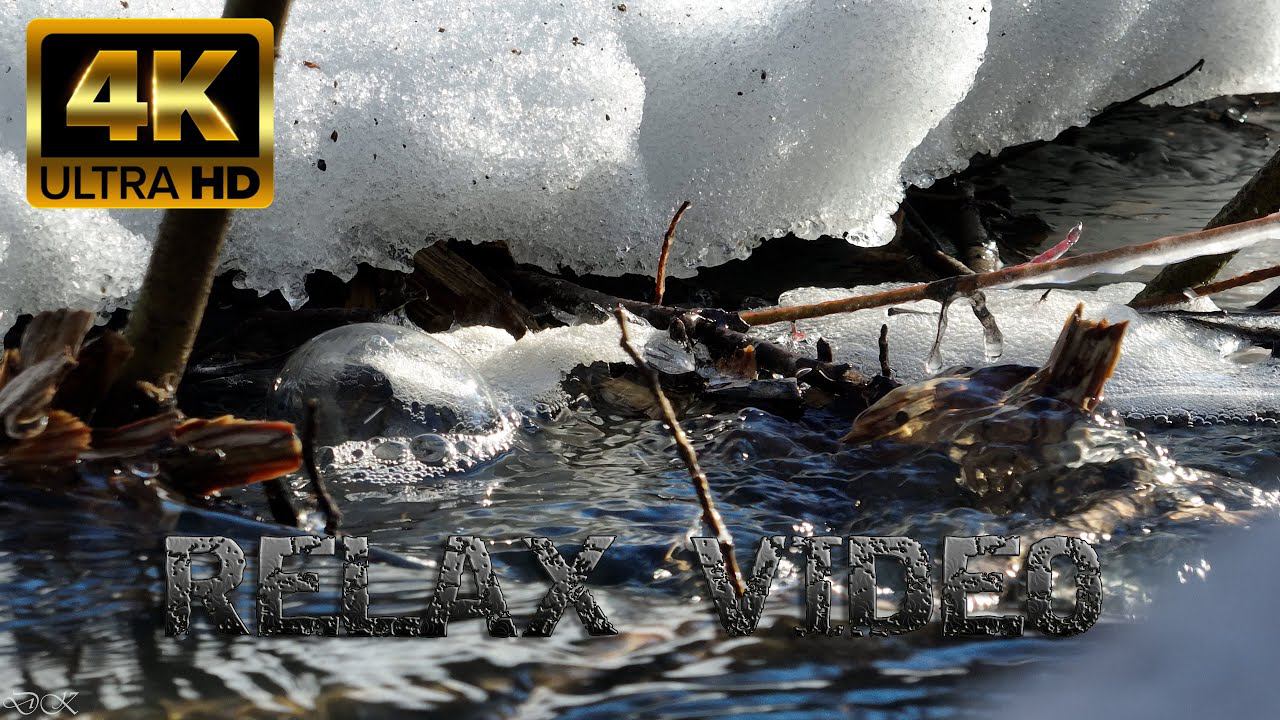ТеПеРь тЫ ТоЧнО УсНеШь #весна2024 #4k #nature #4kvideo #naturelovers #riversounds #природа_россии