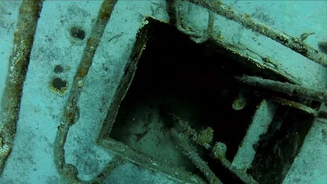 Дайвинг с акулами (возможности камеры GoPro HERO3)