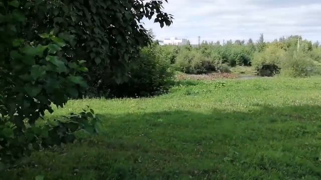 Деревенский дневник очень многодетной мамы. Туровская амазонка оседлала кобылу.