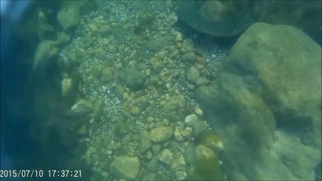 обзор камеры ! Съёмки под водой смотреть онлайн