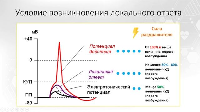 Тема 1. Возбудимые ткани. Вопрос 5. смотреть онлайн