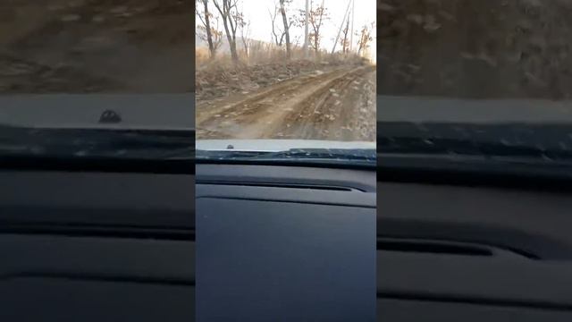 Партизанский район, кошмар на улице Звездной смотреть онлайн