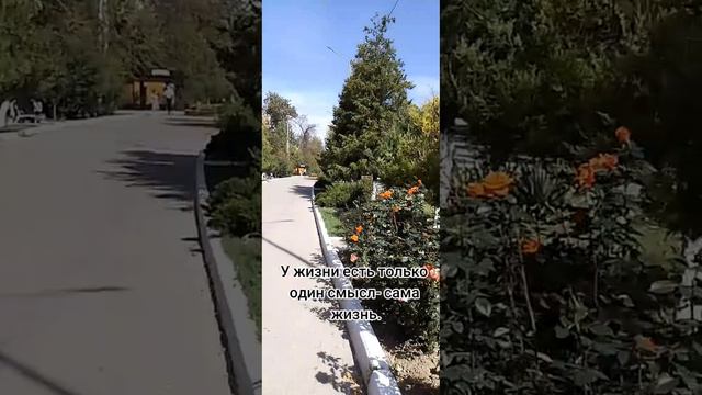 Смысл жизни смотреть онлайн