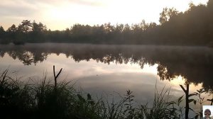 Самодельные кольца для удочки