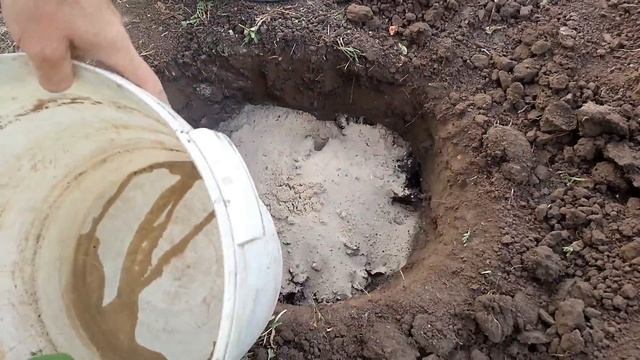 Улучшенная система для полива и подкормки винограда. смотреть онлайн