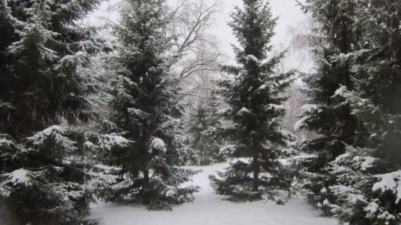 Фристайл Нина Кирсо - Падали белые снежинки - remars65 смотреть онлайн